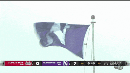 a purple flag with the letter n on it flies in the wind