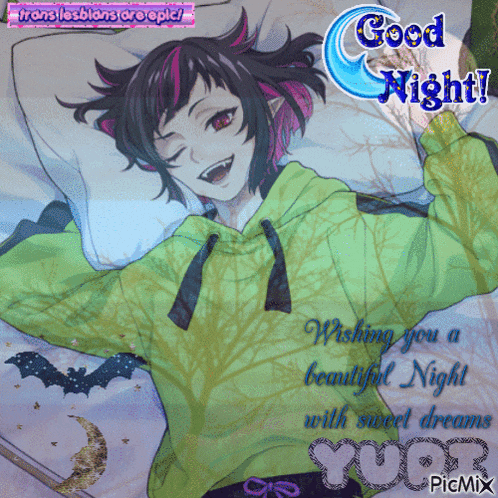 a picture of a girl with the words good night wishing you a beautiful night with sweet dreams yuer