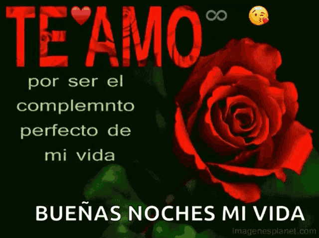a red rose with the words te amo por ser el complemento perfecto de mi vida on it