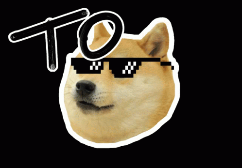 Doge Dogecoin GIF - Doge Dogecoin Crypto GIFs