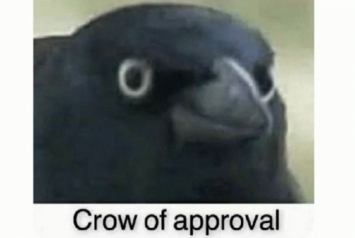 Approval Crow GIF - Approval Crow GIFs