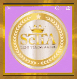 a gold and silver coin with the word seta on it