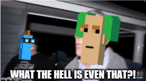 a screenshot of a video game character with the words what the hell is even that