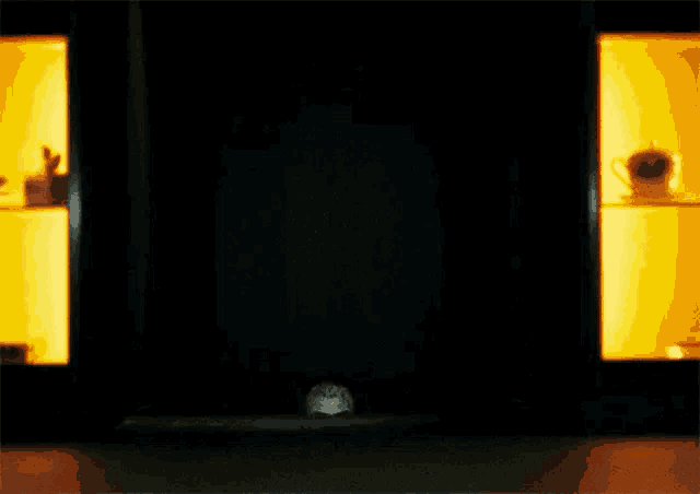 a person is standing in the dark in front of a shelf with a cup on it .