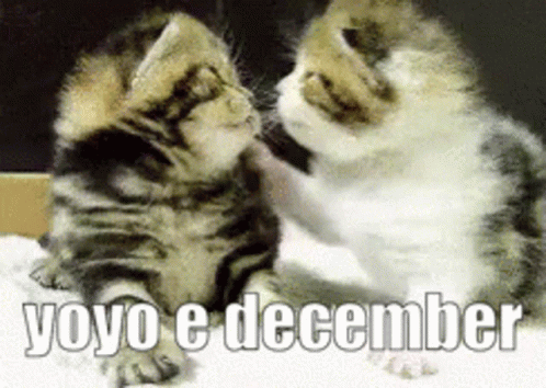 Yoyo December Kiss Kitty Gatinho Beijo Fofo Quercasarcomigobebe GIF - Yoyo December Kiss Kitty Gatinho Beijo Fofo Quercasarcomigobebe GIFs