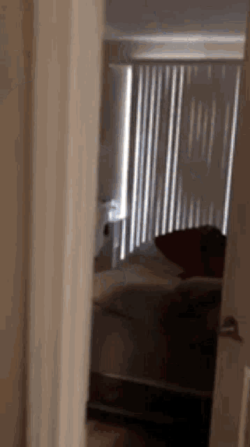 a person is laying on a couch in a room with blinds on the windows