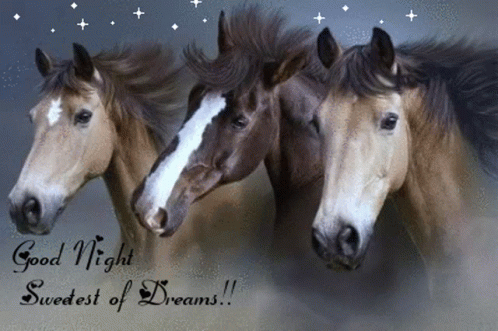 Goodnight Horse GIF - Goodnight Horse GIFs