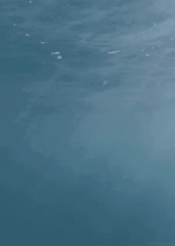 a close up of a person swimming underwater in the ocean