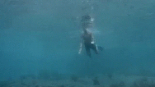 Dive Diving GIF - Dive Diving Swim GIFs