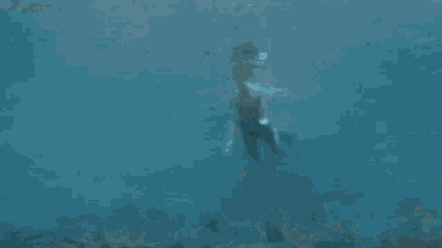 a man is swimming underwater in the ocean with flippers on .