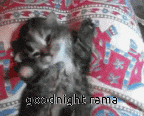 a kitten laying on a bed with the words goodnight rama written on the bottom