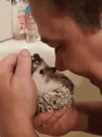 a man is holding a hedgehog in his hands while looking at it .