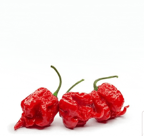 three red peppers with green stems are sitting on a white surface .