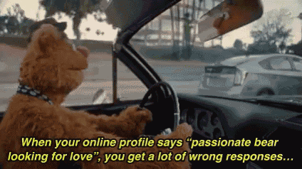a teddy bear is driving a car with the words " when your online profile says passionate bear looking for love "
