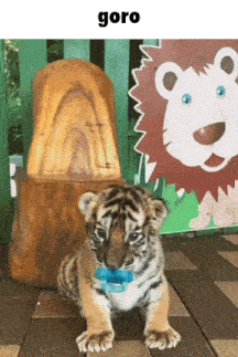a baby tiger wearing a pacifier is sitting in front of a lion statue