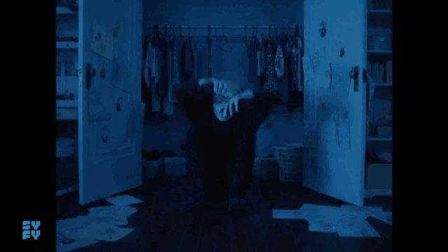 a man in a red sweater is standing in a closet with a tv fv logo on the bottom right