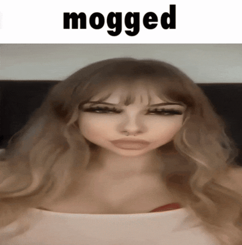 Mogged Mogger GIF - Mogged Mogger Mogging GIFs