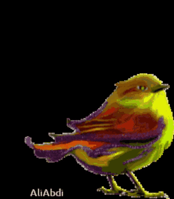a pixel art of a colorful bird with the name aliabdi at the bottom