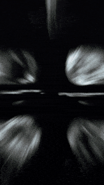 a black and white image with the words " osarimsan ailasi " on the bottom