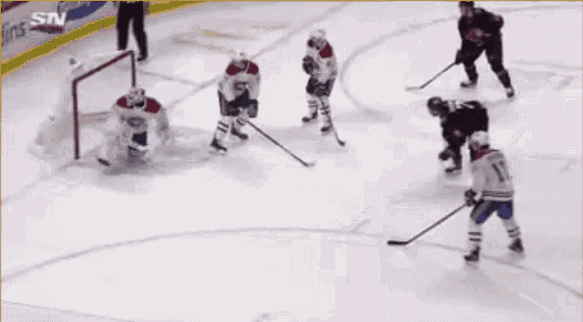a hockey game is being played with the letters sn on the side