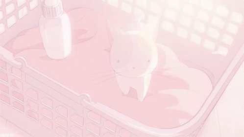 Cat Anime GIF - Cat Anime Pink GIFs