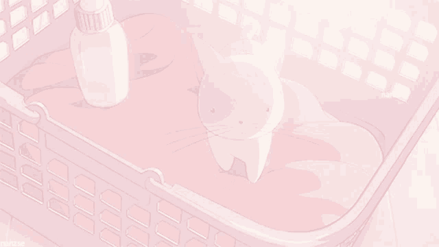 a cat is laying in a pink basket next to a bottle of laundry detergent