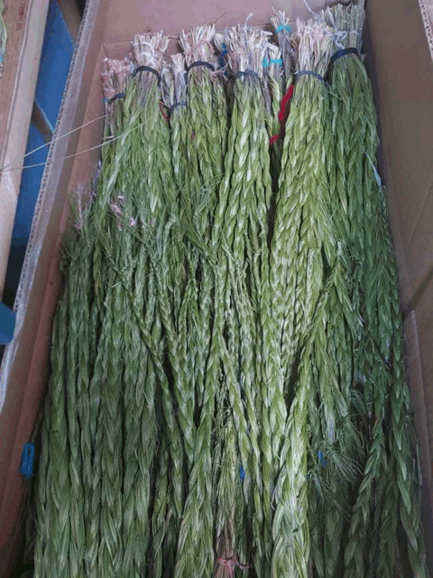 a cardboard box filled with bundles of green plants