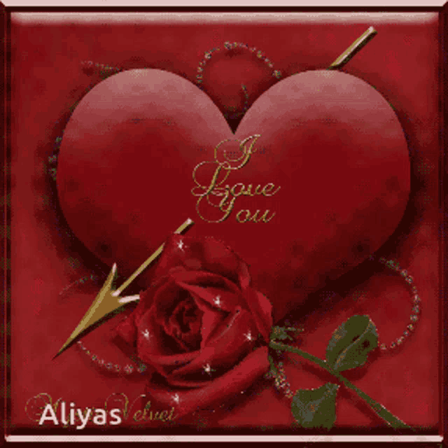 a red heart with i love you written on it and a red rose
