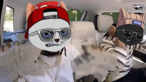 a cartoon cat wearing sunglasses and a hat that says jacksonville