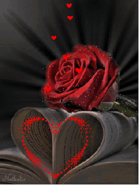 a red rose sits on top of an open book with hearts coming out of it