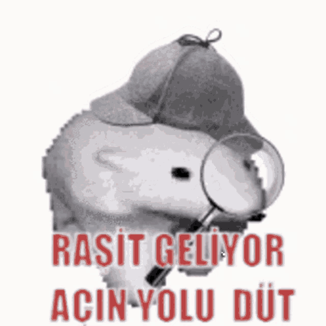 a hamster wearing a hat and a magnifying glass .