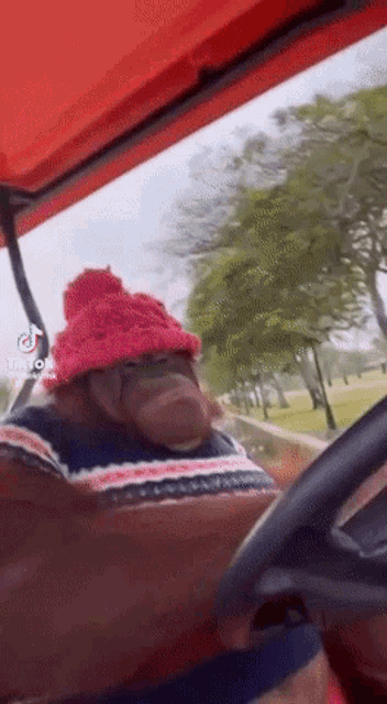 a monkey is wearing a pink hat and sweater while driving a golf cart .