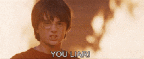 harry potter says " you liar " in front of a burning building