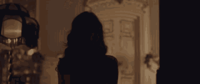 a silhouette of a woman in a dark room with a lamp in the background