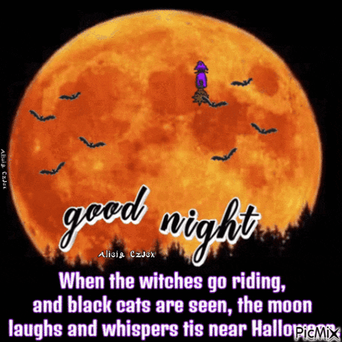 a picture of a full moon with a witch on it