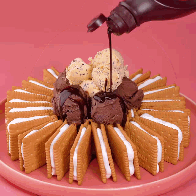 a pink plate topped with cookies and ice cream on a pink table