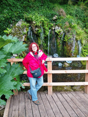 Waterfall At Blarney Castle Garden GIF - Waterfall At Blarney Castle Garden GIFs