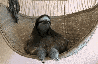 Sloth Actlikeabitch GIF - Sloth Actlikeabitch GIFs