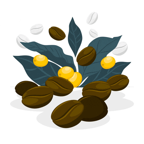 a bunch of coffee beans surrounded by leaves on a white background