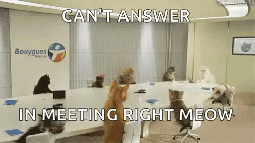Cats Cute GIF - Cats Cute Conference GIFs