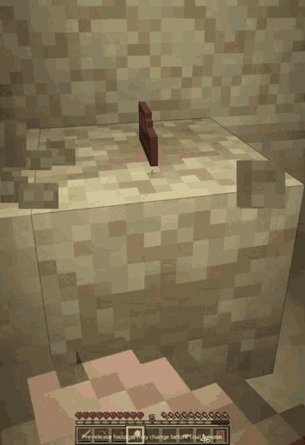 a screenshot of a minecraft game shows a block with a skull on it