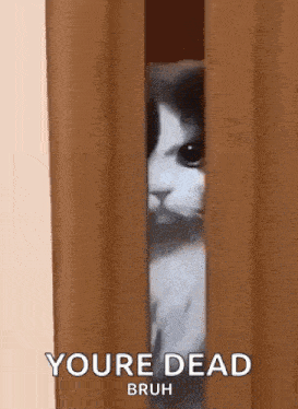 a cat peeking out of a wooden door with the words `` you 're dead bruh '' written on it .