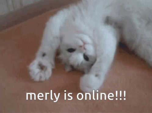 Merly Hi Merly GIF - Merly Hi Merly Merly Is Online GIFs