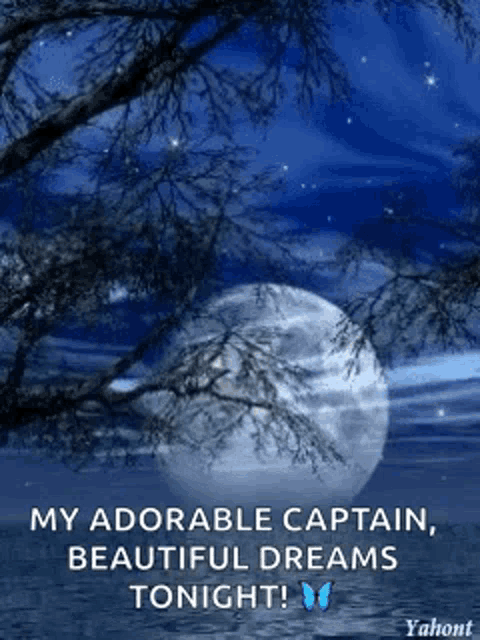 a picture of a tree and a full moon with the words " my adorable captain beautiful dreams tonight ! "
