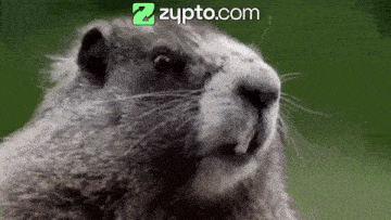 a close up of a ground squirrel with the website zupto.com on the bottom