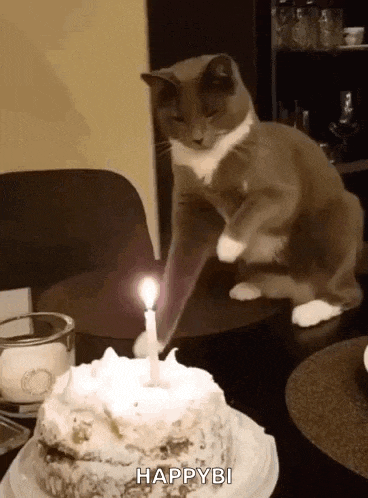 a cat is sitting on a table next to a birthday cake with a lit candle on it .