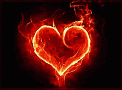 Fire Heart Love On Fire GIF - Fire Heart Love On Fire GIFs