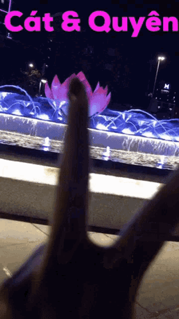 a person 's hand is visible in front of a fountain with the words cat & quyen written in pink
