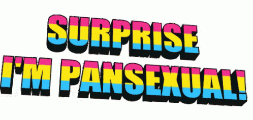 Pansexual Funny GIF - Pansexual Funny Pansexual Pride GIFs