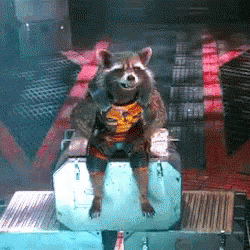 Rocket Raccoon Guardians Of The Galaxy GIF - Rocket Raccoon Guardians Of The Galaxy GIFs